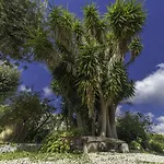 Sestochilometro San Cataldo (Apulia)