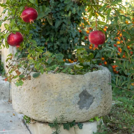 Sestochilometro Отель типа 