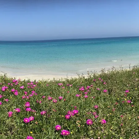 Sestochilometro 4* サン・カタルド