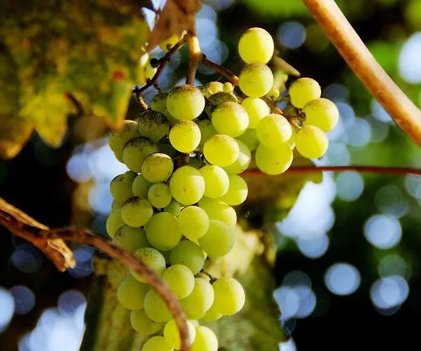 Sestochilometro 4* San Cataldo (Apulia)